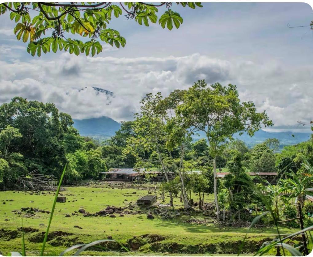 Modern Loft Inside A Beautiful Farm Apartment General Viejo ภายนอก รูปภาพ