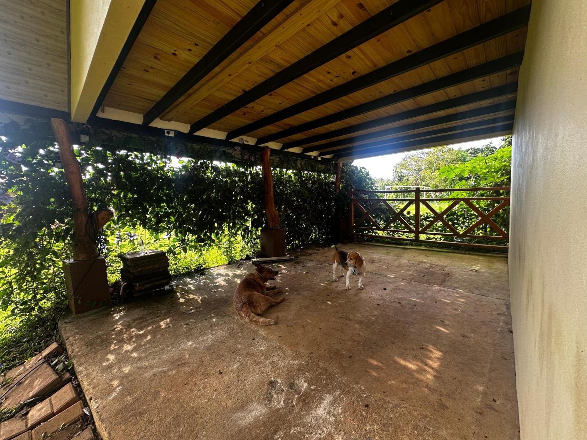 Modern Loft Inside A Beautiful Farm Apartment General Viejo ภายนอก รูปภาพ